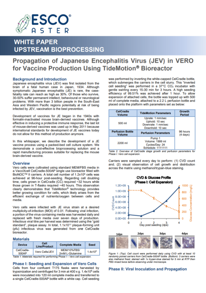 Propagation of Japanese Encephalitis Virus (JEV) in VERO for Vaccine Production