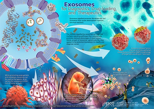 Exosomes for Diagnostics