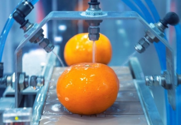 Peptides Against Food Spoilage and Mycotoxin Contamination