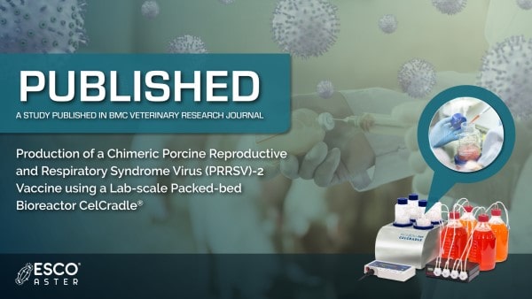 Production of a Chimeric Porcine Reproductive
and Respiratory Syndrome Virus (PRRSV)-2
Vaccine using a Lab-scale Packed-bed
Bioreactor CelCradle<sup>®</sup>