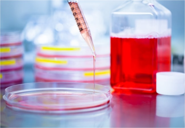 Media and Feed Screening